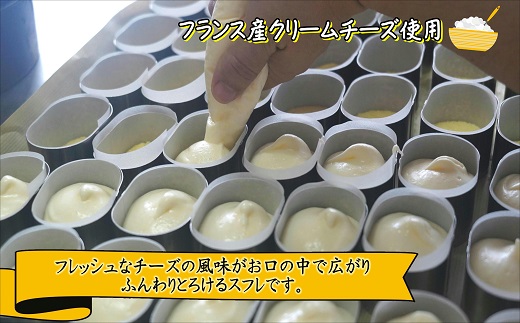 ふんわりしっとり半生チーズスフレ【A9-019】