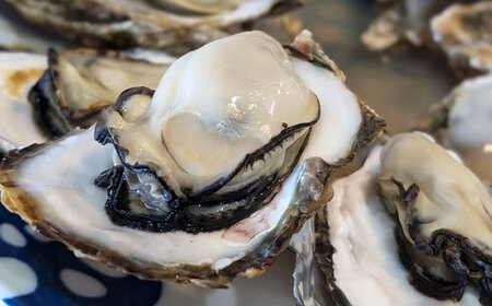 【2026年1月中旬より順次発送】 豊前海 一粒かき 約3kg 吉富町/南水産[BGBD002]