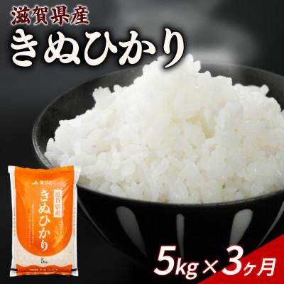 ふるさと納税 彦根市 【毎月定期便】きぬひかり 5kg 【滋賀でとれたお米、近江米!】全3回