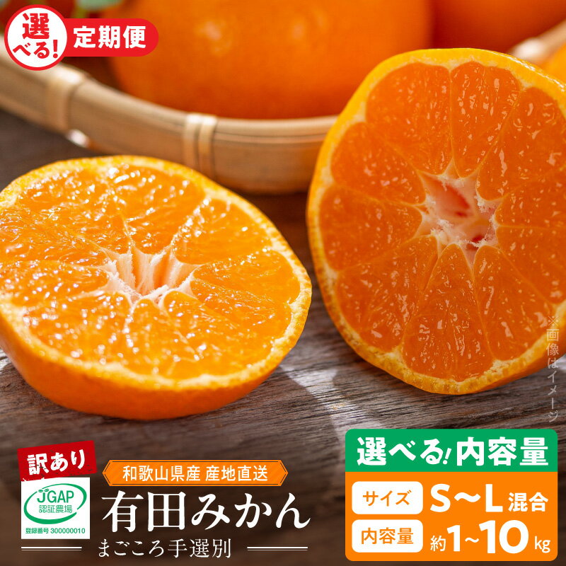 【ふるさと納税】【限定】 【2026年先行予約】 【TVで紹介されました】 高評価 有田みかん 訳あり 家庭用 選べる 配送月 通常発送 定期便 3ヶ月 内容量 約 1kg ～ 10kg S～L サイズ混合 まごころ手選別 柑橘 温州 みかん 果物 お取り寄せ 和歌山県 湯浅町 送料無料
