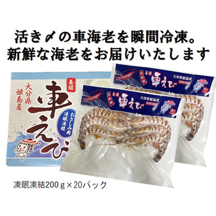 生食用凍眠凍結姫島車えび(養殖)約200ｇ(4尾～5尾)×20パック　A10