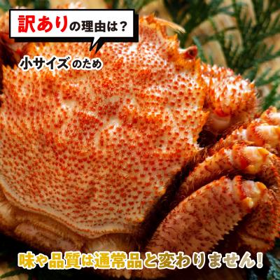ふるさと納税 新ひだか町 ＜2027年2月上旬より発送開始＞ 訳あり北海道産浜ゆで毛ガニ1尾(200g〜300g)＜先行受付＞ |  | 01