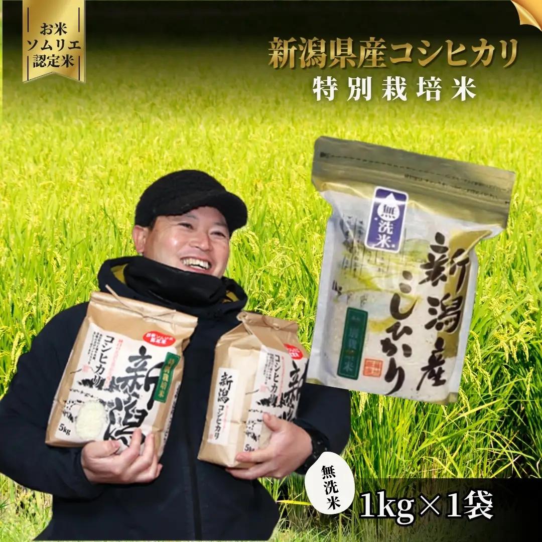 【先行予約】令和8年産 新米 無洗米 コシヒカリ 1kg 特別栽培米【9月下旬発送開始】 | 米 五泉市 新潟県産 無洗