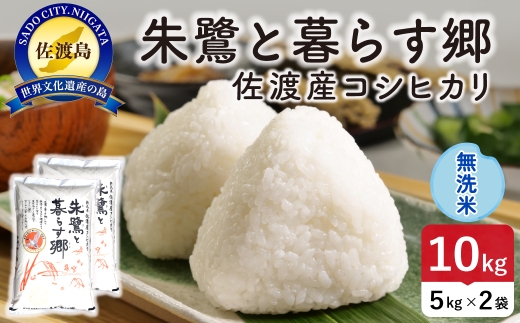 令和8年産 佐渡島産 朱鷺と暮らす郷 無洗米10kg 特別栽培米 | 新潟県産コシヒカリ 佐渡産コシヒカリ 朱鷺と暮らす郷 朱鷺認証米 特別栽培米 お米 米 無洗米 むせんまい おこめ コメ 10キロ にいがた さど 新潟県 佐渡市