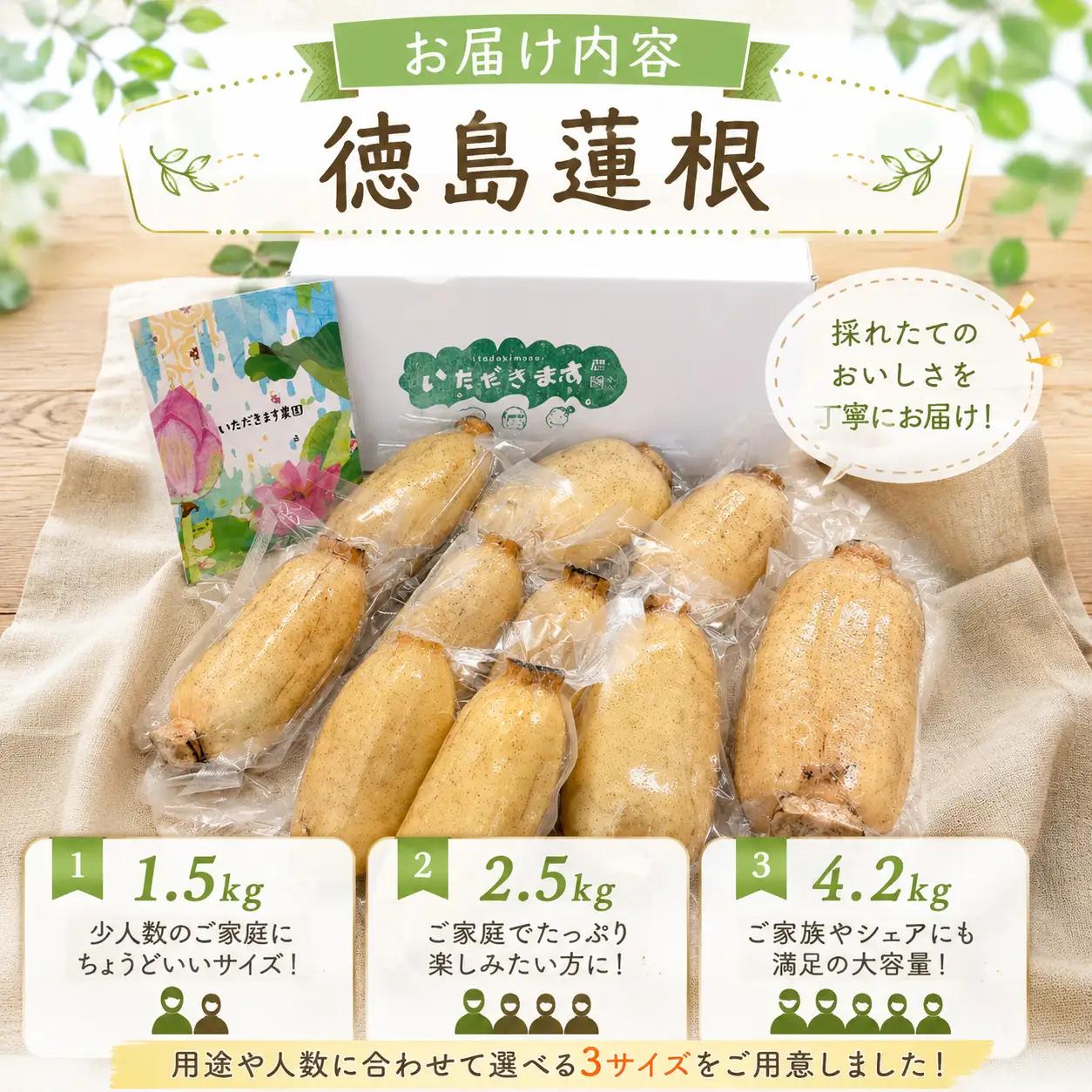 蓮根 厳選 こだわり部位セット 2.5kg