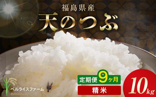 〈先行予約〉令和8年産【お米の定期便】9ヶ月配送 農家直送 ベルライスファーム 天のつぶ 精米 10kg F6U-504