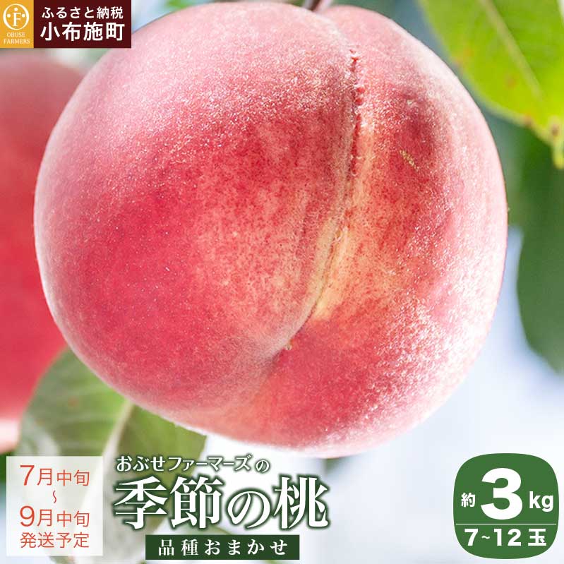 季節の桃 約3kg 7～12玉 ［ おぶせファーマーズ ］ モモ ピーチ フルーツ 果物 あかつき 川中島白鳳 なつっこ 川中島白桃 黄金桃 だて白桃 先行予約 長野県産 クール便 冷蔵便 産地直送 令和7年産【2025年7月中旬～9月中旬発送】