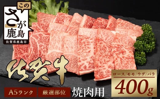 【6月配送】A5等級 佐賀牛 焼肉用 400g【厳選部位】ロース モモ ウデ バラ B-616