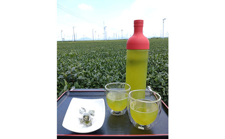 お茶 一番茶 深蒸し 粉茶 ティーバッグ 20パック 6袋 お茶