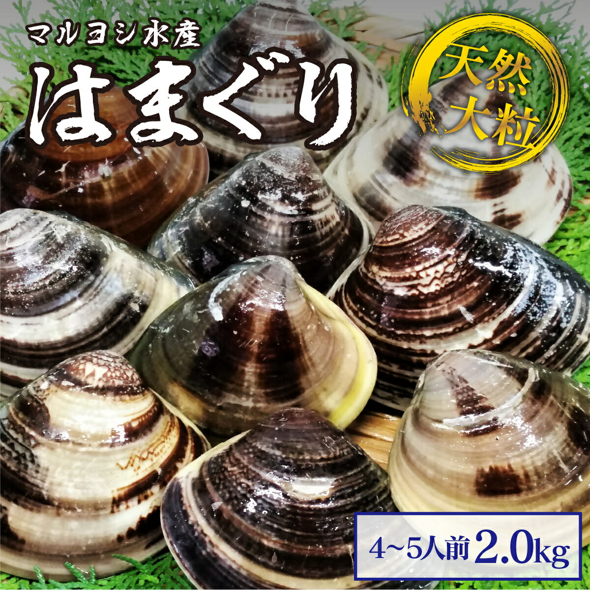 【ふるさと納税】 マルヨシ水産　桑名産大粒天然蛤　2kg