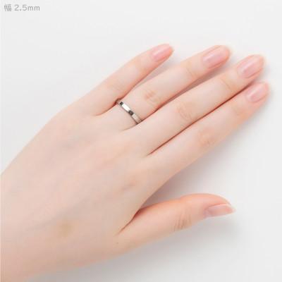 ふるさと納税 弥彦村 純チタン平打リング(幅2.5mm)12号 |  | 01