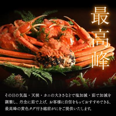 ふるさと納税 福井市 【12/20〜順次発送】福井の老舗カニ料理店「茹で越前がにズワイ蟹」大1杯(900g〜1.1kg) |  | 02