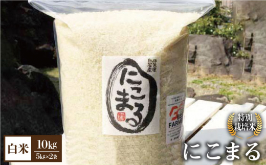 【先行予約 2026年10月～発送】 令和8年産 新米 こだわりの にこまる 10kg（白米）【白浜農産】米 お米 特別栽培米 佐賀 白石  佐賀県 白石 [IBL009]