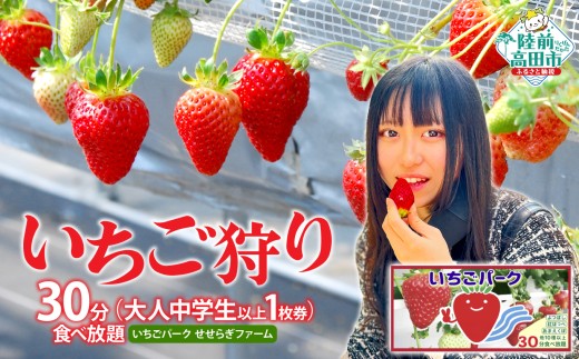 （大人中学生以上 1枚券）いちごパーク いちご狩り30分食べ放題チケット