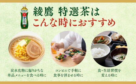 【8ヶ月定期便】綾鷹「特選茶」 500ml×192本(8ケース) ※離島への配送不可