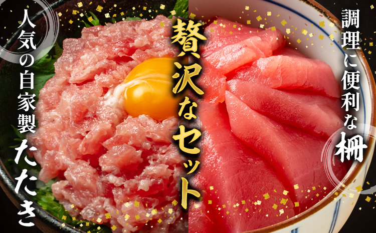 那智勝浦直送 天然もちもち生ビン長まぐろとまぐろたたきセット 2人前 株式会社魚鶴商店《30日以内に出荷予定(土日祝除く)》 和歌山県 日高町 まぐろ 魚 マグロ たたき ねぎとろ 海鮮 鮪 魚介 さ