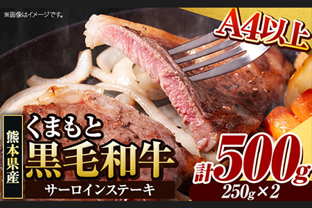 くまもと黒毛和牛 サーロインステーキ 500g ( 250g x 2枚 ) 牛肉 冷凍 《30日以内に出荷予定(土日祝除く)》 くまもと黒毛和牛 黒毛和牛 冷凍庫 個別 取分け 小分け 個包装 ステーキ肉 にも サーロインステーキ