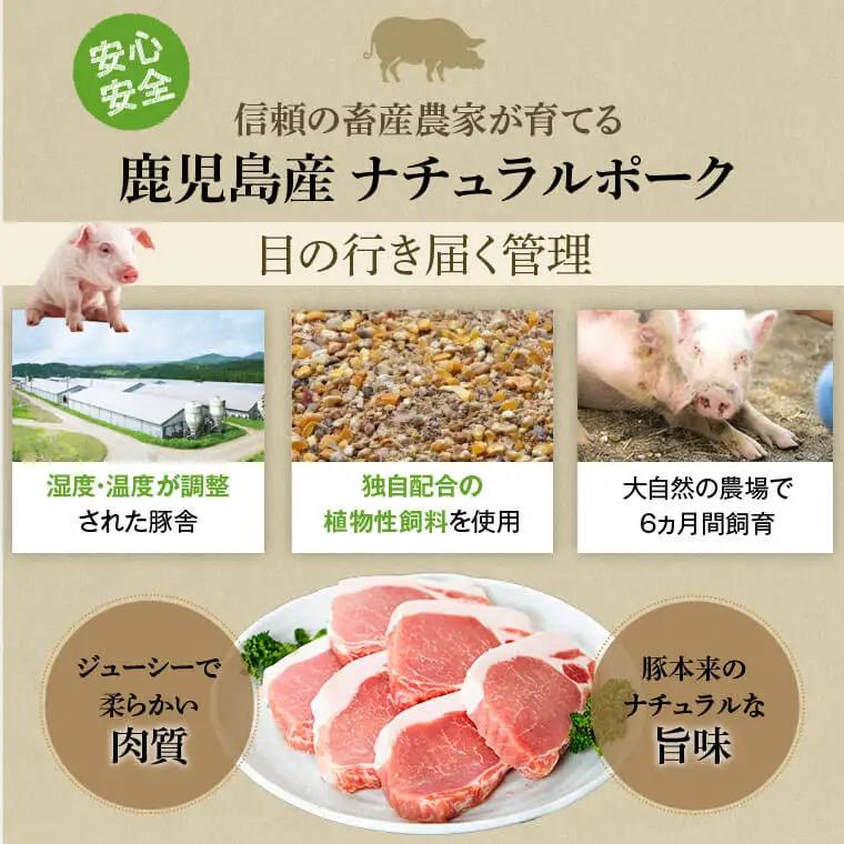 【6回定期便】 鹿児島県産 豚1頭 ブロックセット(総量約50kg前後) 豚肉【大将食品】G05032