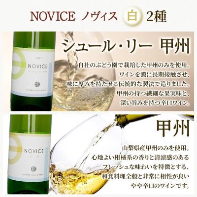 ふるさと納税 笛吹市 白ワイン5種6本セット 720ml  リエゾン ノヴィス 日川中央葡萄酒 山梨県 笛吹市 |  | 02