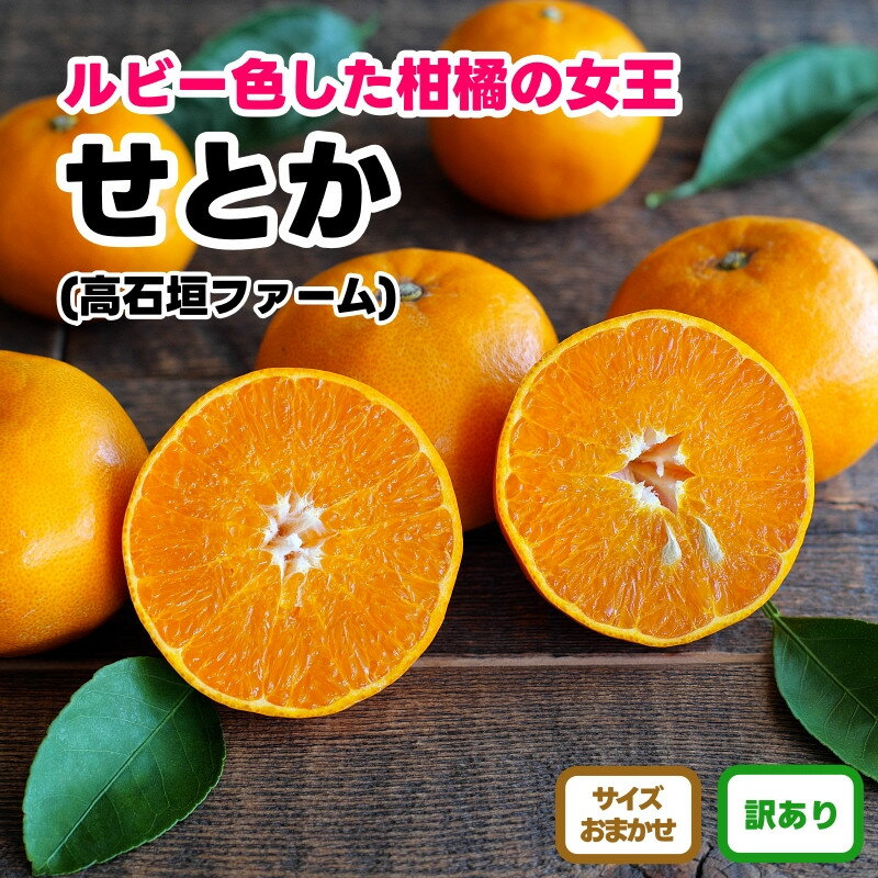 【ふるさと納税】【選べる容量】訳あり せとか 1～4.5kg M～2Lサイズおまかせ 高石垣ファーム | みかん 蜜柑 フルーツ 果物 くだもの 食品 人気 おすすめ 送料無料