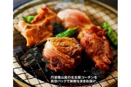 地鶏名古屋コーチン 丹波篠山地鶏 もも肉（500g 約1枚半）地鶏 AH06 