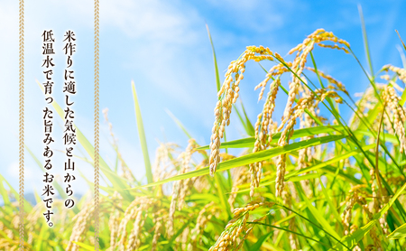 兼業農家の底チカラ！令和7年産 伊賀米コシヒカリ 2kg 3年連続 特A 米 こしひかり ご飯 ごはん 白米 精米 三重県 名張市