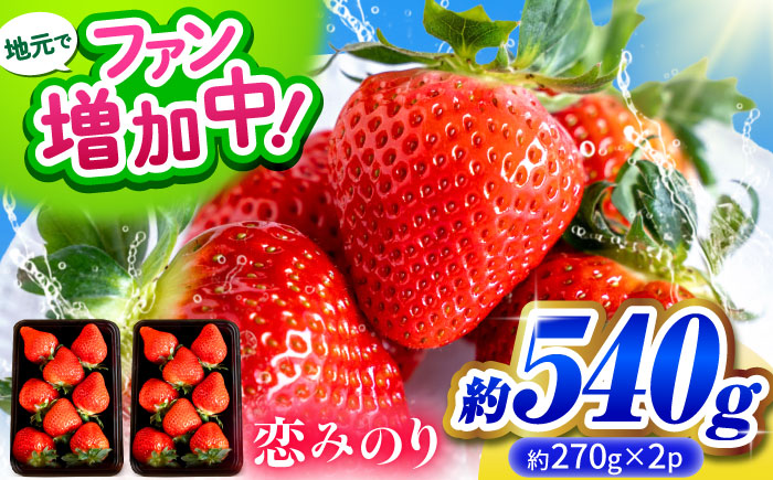 こば農園のこだわりいちご　恋みのり 約540g（約270g：6~11粒×2パック） 【合同会社 こば農園】 [ZFO001]