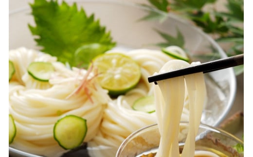 TV番組「マツコ＆有吉 かりそめ天国」紹介店　渡辺手延製麺所　ひやむぎ1束２２５ｇ×10束　大矢知伝承の味 金魚印 手延冷麦　／麺　特産　冷や麦　高級麺　 おおやち 手延べめん 四日市　ひやむぎ　そう