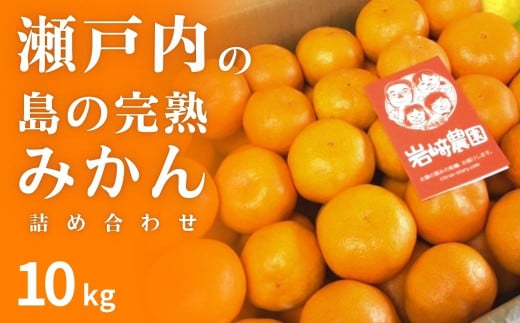 [予約] 12月発送 瀬戸内の島の完熟みかん詰め合わせ 約10kg 広島県 大崎上島町 濃厚 柑橘 セット 贈答 ギフト せとうち