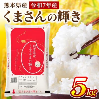 ふるさと納税 八代市 《令和7年産》 くまさんの輝き 5kg × 1袋 米 お米 精米 白米_311-7181