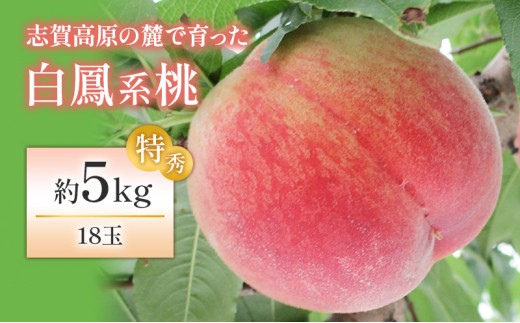 
                  【2026年発送】志賀高原の麓で育った 桃（白鳳系）特秀18玉 約５kg 桃 もも 白鳳 フルーツ 果物 デザート 長野県 長野
                