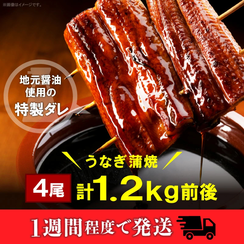 うなぎの蒲焼ビッグサイズ 4尾（計1.2kg前後） KP9406