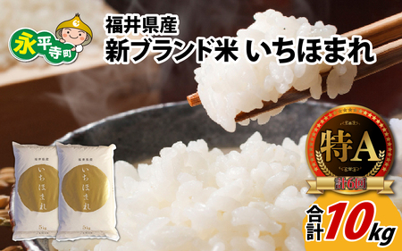 令和5年度産 福井県産新ブランド米 いちほまれ 10kg（5kg×2袋）[B-002027]