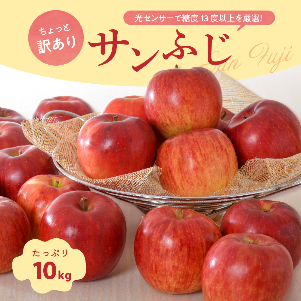 【2026年3月後半発送】りんご 約10kg サンふじ 【ちょっと訳あり】 青森県産