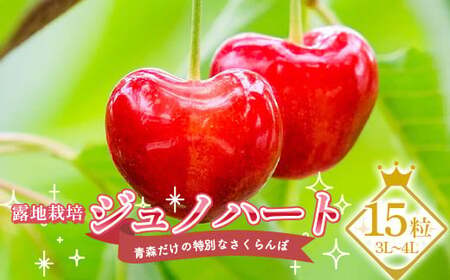 ≪数量限定≫ 露地栽培 青森だけの特別なさくらんぼ 「ジュノハート」 15粒（3L～4L）【留長果樹園】 F21U-401