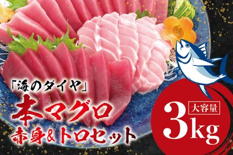 本マグロ（養殖）トロ＆赤身セット 3kg【1か月以内に発送】／まぐろ 刺身 鮪 本鮪 クロマグロ 赤身 中とろ 大容量 まぐろたたき まぐろ丼