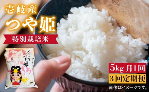 【全3回定期便】壱岐産 つや姫 5kg《壱岐市》【壱岐市農業協同組合】 [JBO056] 米 お米 白米 ご飯 ごはん 5キロ お弁当 朝食 定期便   51000 51000円