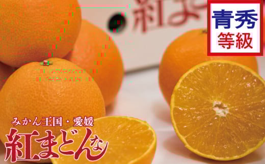  【先行予約】【2025年11月下旬以降順次発送】数量限定 紅まどんな 青秀 等級 化粧箱 L玉～5L玉 高級 紅まどんな 柑橘 フルーツ 個包装 紅マドンナ 果物 おすすめ柑橘紅まどんな 高級柑橘の紅まどんな くだもの 人気 おすすめ 贈答 ギフト 紅まどんな 愛媛県 松山市 送料無料 えひめのフルーツ紅まどんな マドンナ まどんな
