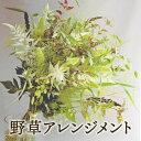 【ふるさと納税】〈先行予約〉ZASSOプロジェクト 野花が映える季節の花束 花 観葉植物 ガーデニング インテリア 贈り物 ギフト プレゼント