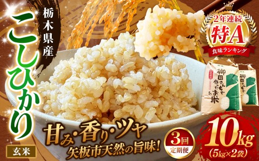 [定期便3回]矢板市特別栽培米 こしひかり 玄米 5kg×2P | お米 米 こめ 白米 玄米 にじのきらめき コシヒカリ こしひかり 美味しい お弁当 選べる エコ スマート 環境 手間暇 土づくり  ふるさと 納税 栃木県 矢板市