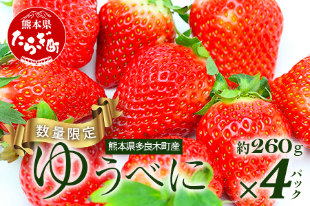 【先行予約】熊本県産いちご ゆうべに 約260g×4パック産地直送 国産 新鮮 フレッシュ 果物 苺 イチゴ  フルーツ 103-0002