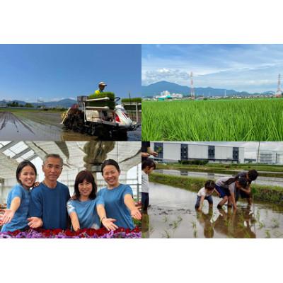 ふるさと納税 伊勢原市 【毎月定期便】合計30kg 精米 てんこもり10kg 加藤さんちのうんめぇ米全3回 |  | 03