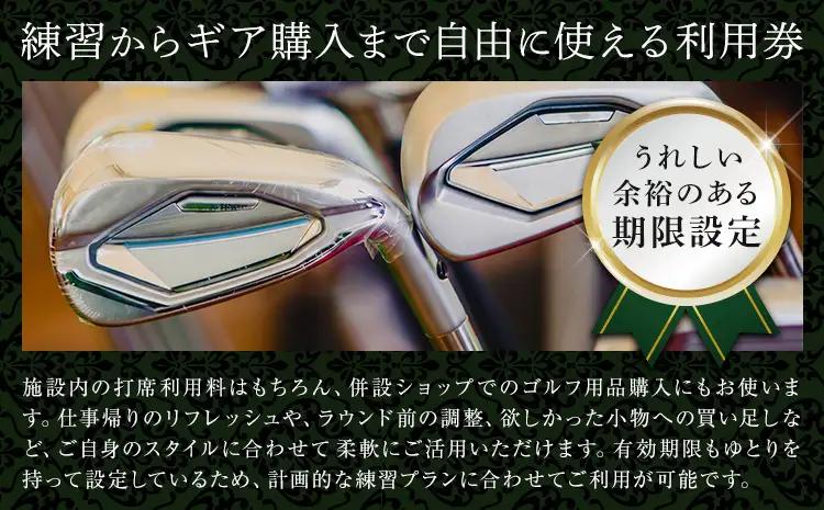 ゴルフ 練習場 利用券 カナーレゴルフプラザ流山 10000円分 《30日以内に出荷予定(土日祝除く)》千葉県 流山市 ゴルフ場 利用 チケット 初心者 上級者 ベテラン
