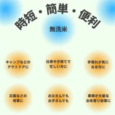 【令和7年産】宮城県産　無洗米ひとめぼれ　10kg(5kg×2袋)【1684063】