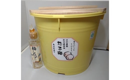 
                  M453　紀州健康梅　たる梅１０ｋｇ　梅シロップ１５０ｍｌ
                