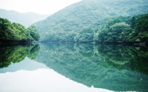 E3  【隔月6ヶ月定期便】【令和7年産】 隔月で届く国際大会金賞「みやま米」 各2kg×4袋_イメージ3