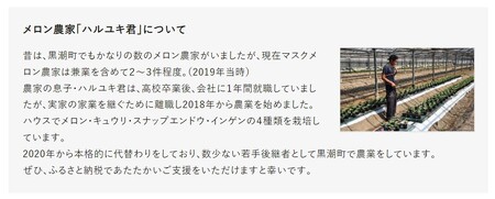 ハルユキ君の アールス メロン 2玉 セット 高知県 黒潮町産 ［0939］