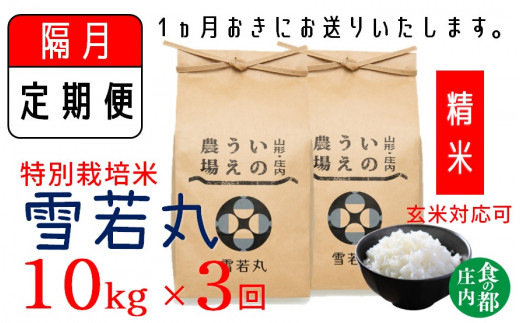 【隔月 定期便3回】【精米】井上農場の特別栽培米　雪若丸10kg×3回（計30kg）