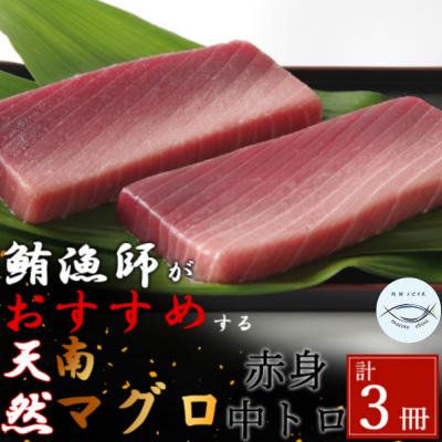 ふるさと納税 室戸市 【中トロ】【赤身】天然南マグロ　中トロ2柵　赤身1柵