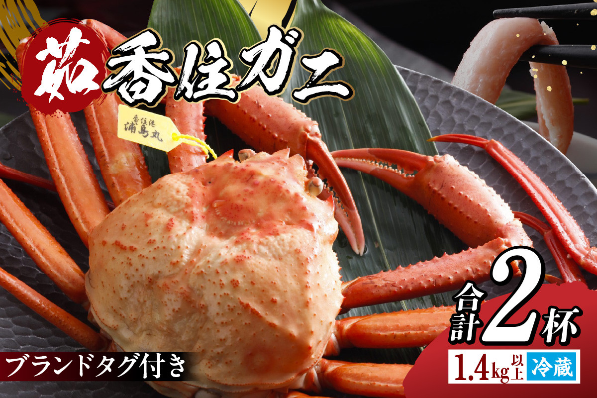 
            【香住ガニ タグ付き 浜茹で 700g以上×2杯 合計1.4kg以上 冷蔵】大人気 ふるさと納税 返礼品 おすすめ 国産 入金確認後順次発送 配送日指定不可 選ばれたタグ付きの高級香住ガニです 甘みが強い 絶妙の塩加減での茹で上げ 香住カニ 兵庫県 香美町 香住 かに ベニズワイガニ ゆで蟹 丸ごと ボイル 脚 爪 身 ほぐし むき身 かにすき しゃぶ 鍋 人気 丸近 32000円 19-13 
          